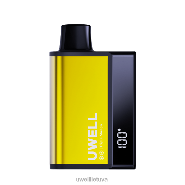 UWELL Vape Flavours - UWELL DL8000 vienkartiniai garai VF6ZZ284 ananasų mėtų