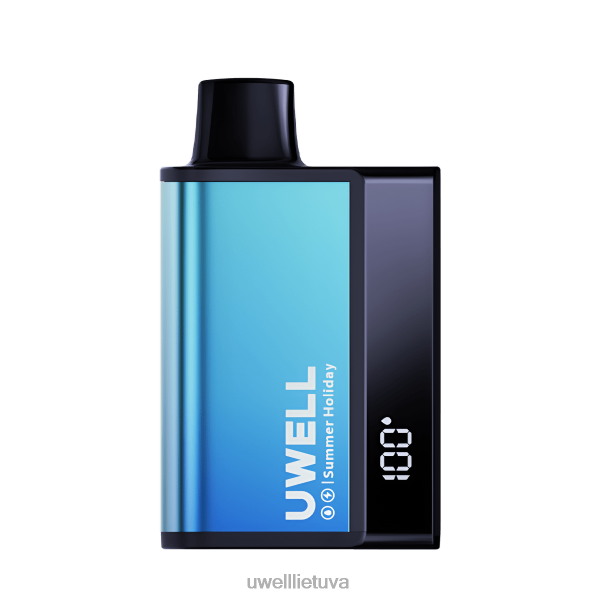 UWELL Vape Flavours - UWELL DL8000 vienkartiniai garai VF6ZZ284 ananasų mėtų